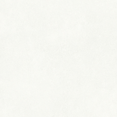빈티지 회벽/블랑 스타코 | 썸네일