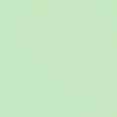 리얼 매트 패인트/허브 민트 | 썸네일