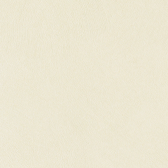 브러쉬 회벽/애쉬 크림 | 썸네일