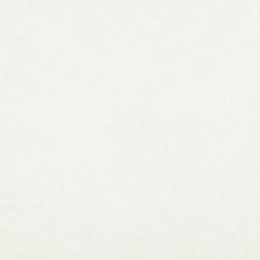 스노우 블렌디드 | 썸네일