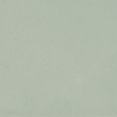 시크 블렌디드 | 썸네일