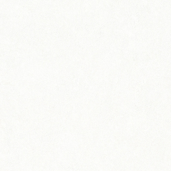 실크벽지 베스트(베스띠) | 샌드 스톤/페일 화이트 | 82558-06