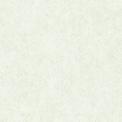 실크벽지 베스트(베스띠) | 디아 회벽/화이트 | 82601-06